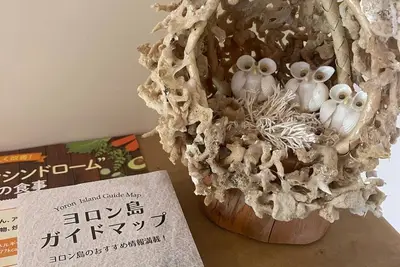 Image de Floor plan 16157 m3LDK / Oshima-gun Kagoshima