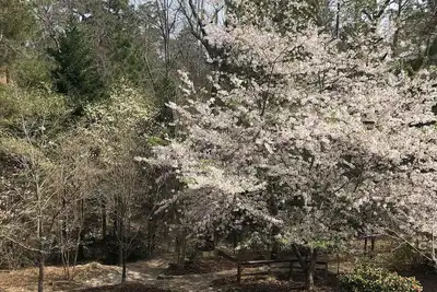 Image de 2024 Us Open Pinehurst Nc Rental. Exclusive Pinehurst Gated Community