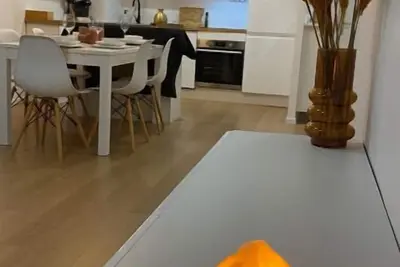 Image de Nice and cosy flat near Geneva or Annecy