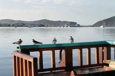 Image de Houseboat in Knysna, beautiful views, spacious, relaxing and in a unique location