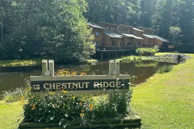 Image de Sapphire Updated Cabin Vibe Townhouse- 3br/2ba-walkable, lakes, Horsepasture Riv