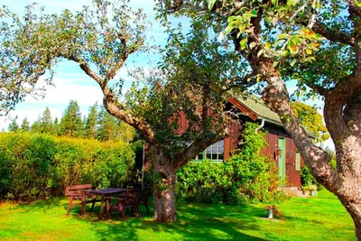 Image de Landside cottage with horse riding offer!