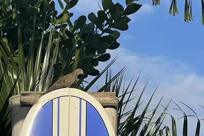 Image de Juba’S Nest Near Beach Coastal Home