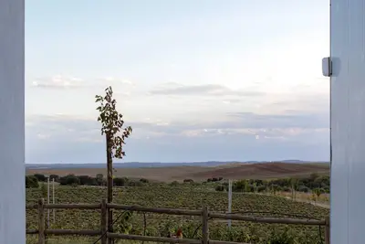 Image de Traditional house located inside an biodynamic tea farm, 20km from Évora. \n
