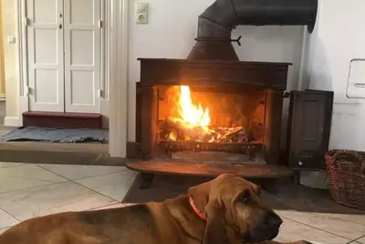 Image de Schöne Wohnung en Hesse avec Ruhebereich