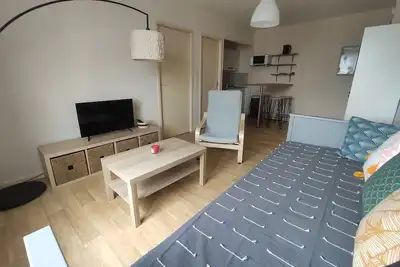 Image de Charmant Appartement à St Aignan / Zoo de Beauval