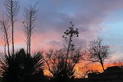 Image de Lovely 1 br, sitting room and kitchenette on an acre. Visiting for the holidays?