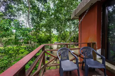 Image de Cosy, personal, family-friendly nature retreat surrounded by trees and fresh air