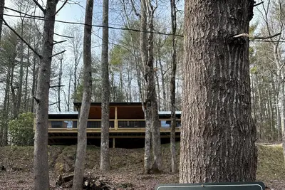 Image de The Rainforest Hideout