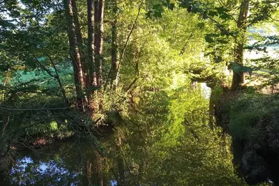 Image de Gîte 4 étoiles dans une ferme Béarnaise 2\/4 pers. en plein coeur du Jurançon