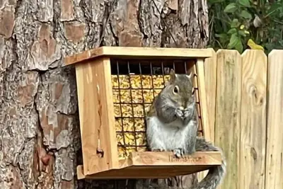 Image de Newnan, Sauber, Ruhiges, Frisch Renoviertes Komplettes Haus