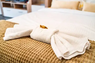 Image de Cozy spacious studio in new building