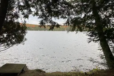 Image de Lake Lucerne Family Getaway, private setting close to town