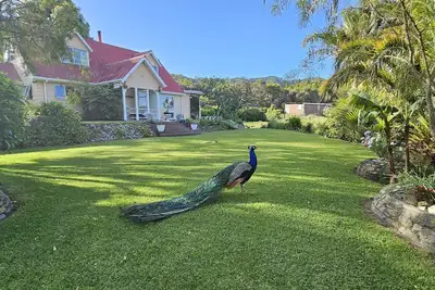 Image de Farm house with sea views & native bush, fishing, kayaking, bird lovers haven.
