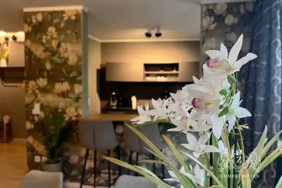 Image de Apartment Prinz Leopold Designer Wohnung Zentral Disney+