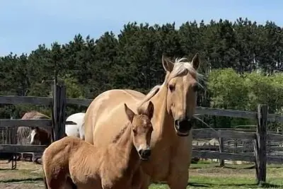 Image de Ranch get away