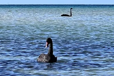 Image de \nRelax with the whole family at this peaceful place to stay. \n