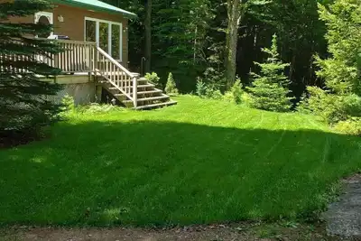 Image de Secluded Bliss on a Pristine Spring-Fed, Ross Lake