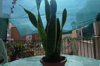 Image de Barcelona Sants Terraza