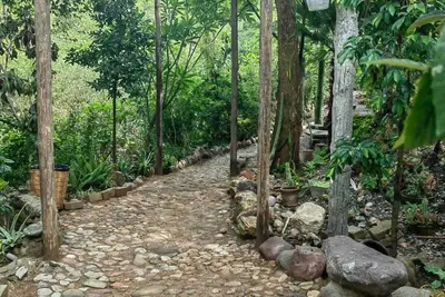 Image de Departamento en medio de la naturaleza, ¡a solo 10 minutos del centro de Oaxaca!