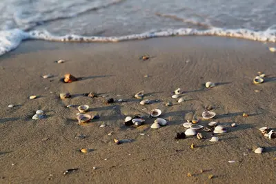 Image de Fantastic one Bedroom Apartment With Swimming Pool