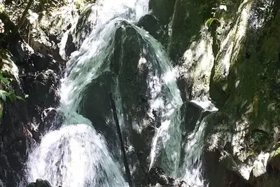 Image de Townhouse in Caiobá