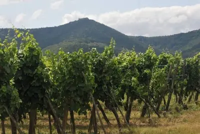 Image de GĂŽTE Des Cerisiers