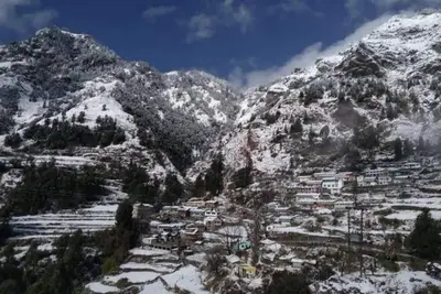 Image de Sunlight HomeStay \nPeacefull nature between the hiils and mountains