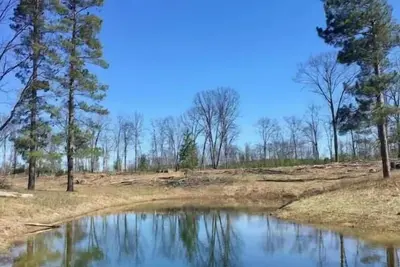 Image de Lions Den Getaway in the Middle of No where