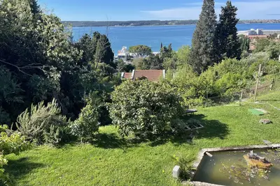 Image de Iris apartment in the middle of green vegetation