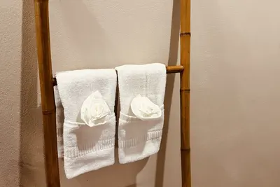 Image de Private bungalow Rooms Near to Tamarindo! ! Casa Malca Tama! !