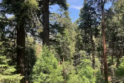 Image de Crestline Blissful Cabin Escape - Private Guest House near Lake!