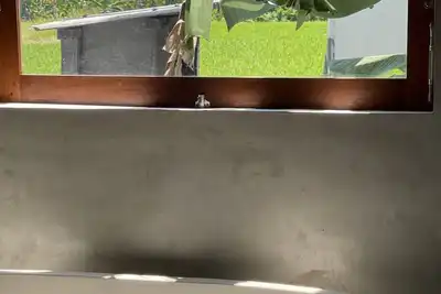 Image de Brand New Quiet Villa at Seseh 3 minutes to the Beach, surrounded by Rice Paddies