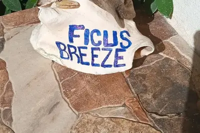 Image de Breezey Get-Away near to beach and park. Ask us about meal prep and delivery.