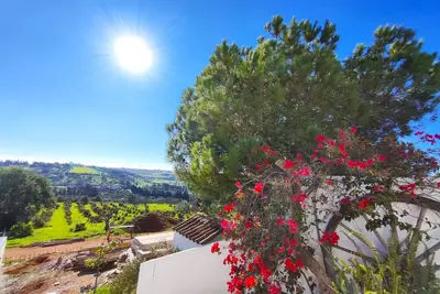 Image de Lagos High Point Nature 1 by Homing