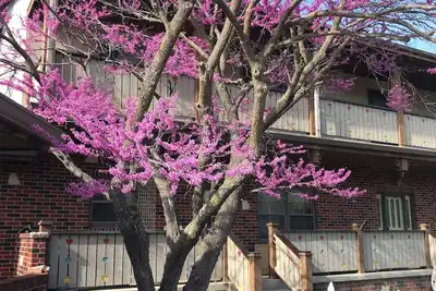 Image de Located on a 12 acre orchard, this large upscale home features stunning views