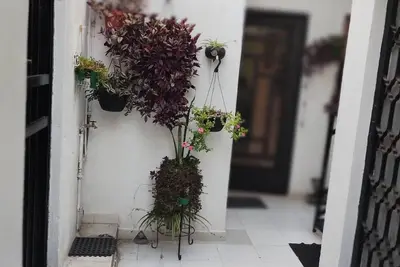 Image de CĂłmodo Departamento Para. Y Disfrutar en Familia sus Vacaciones
