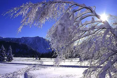 Image de Appartement 2 pièces + cabine, 6 pers, proche pistes