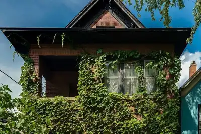 Image de Quirky Bucktown Chicago Apartment w/ parking No Parties