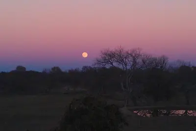 Image de Brand new, adorable tiny home on a working Llama Ranch a short drive from Waco.