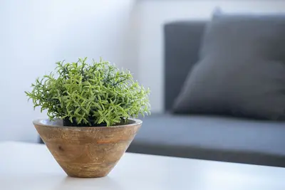 Image de Apartamento 6f