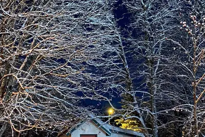 Image de Cozy Seward Cottage: Amazing Location in the middle of town. Pet-Friendly!