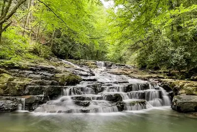 Image de Dog-friendly cabin with direct access to public game lands, full kitchen, & W\/D