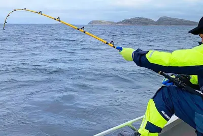 Image de Maison de vacances pour 8 a Nordfold-By Traum