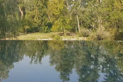 Image de Pool house avec Piscine et Spa privés, à 20 km d'Avignon, 5 min du Parc Spirou
