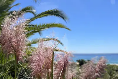 Image de Studio in Romantic Beachvilla