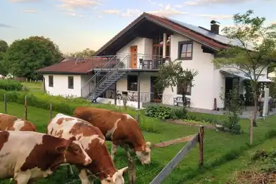 Image de Appartement 'Exklusiv Hinterreiter' avec vue sur les montagnes, Wi-Fi et climatisation