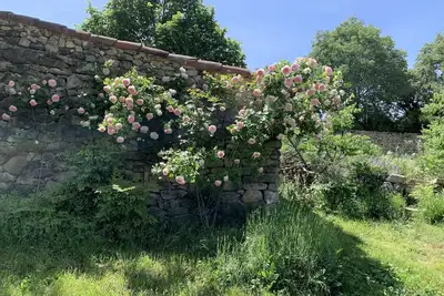 Image de Mas en Provence entièrement rénové pour des vacances familiales de rêve