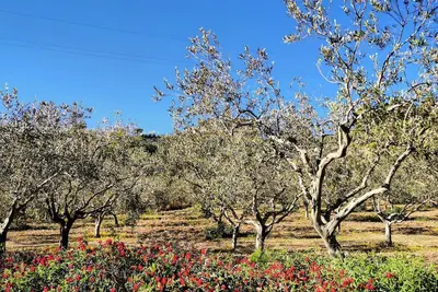 Image de Villa Alessi