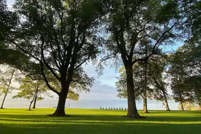 Image de Bay Cliff: Vacation on the Eastern Shore